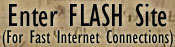 Enter FLASH Site